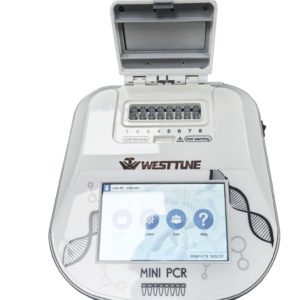 WESTTUNE 16wells Portable Mini Gradient Thermal Cycler DNA PCR test Instrument Price for Molecular Biology